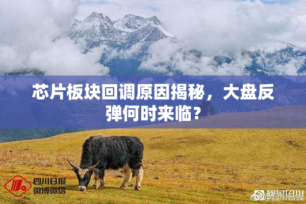 芯片板块回调原因揭秘，大盘反弹何时来临？