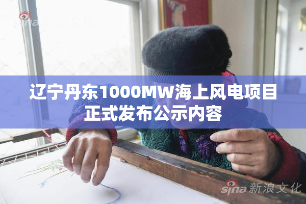 辽宁丹东1000MW海上风电项目正式发布公示内容
