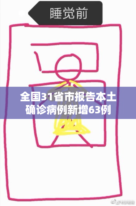全国31省市报告本土确诊病例新增63例