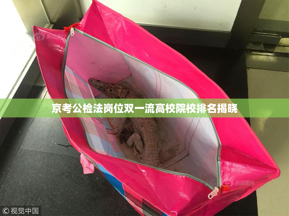 京考公检法岗位双一流高校院校排名揭晓