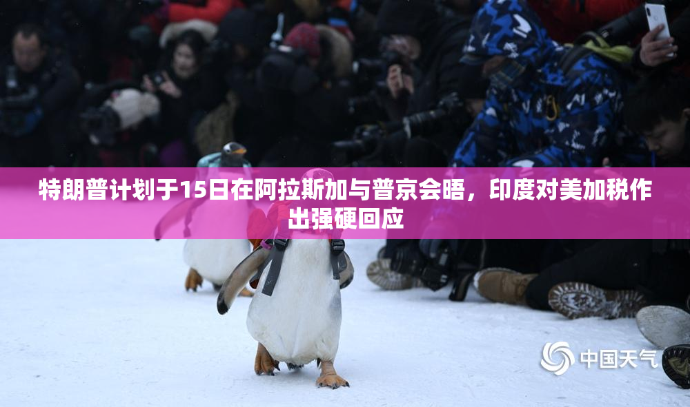 特朗普计划于15日在阿拉斯加与普京会晤，印度对美加税作出强硬回应