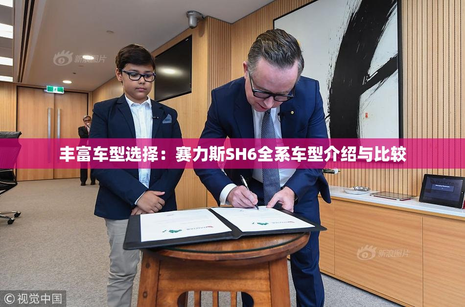 丰富车型选择：赛力斯SH6全系车型介绍与比较