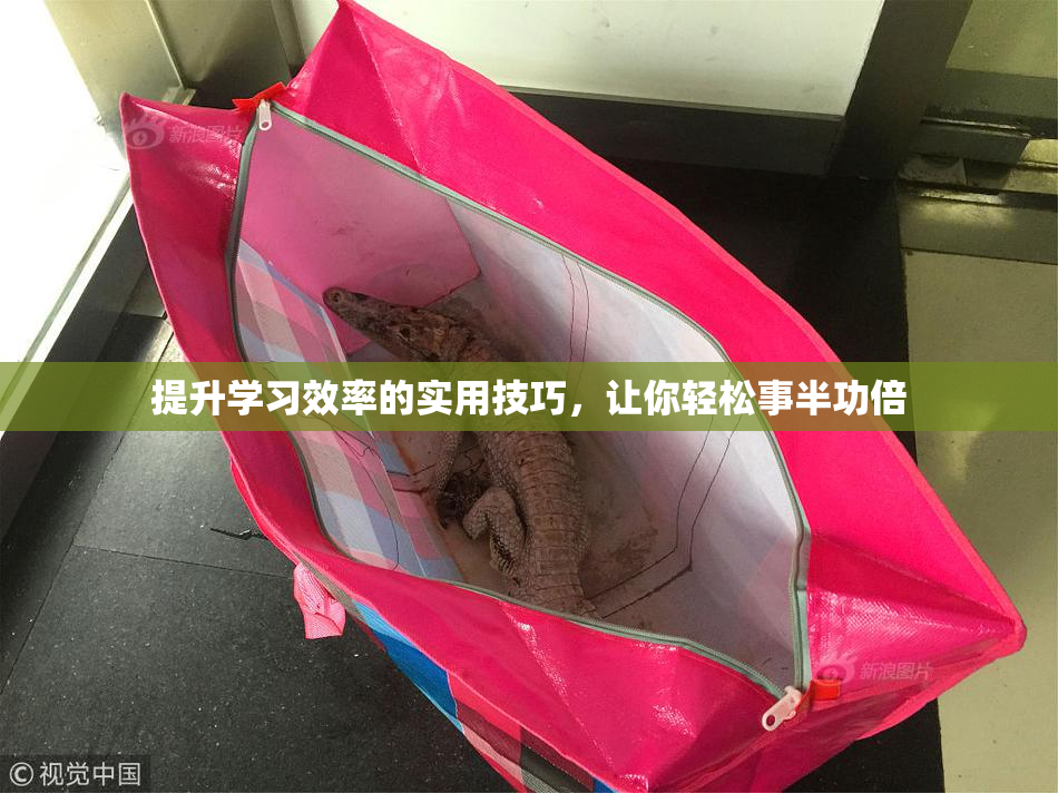 提升学习效率的实用技巧，让你轻松事半功倍
