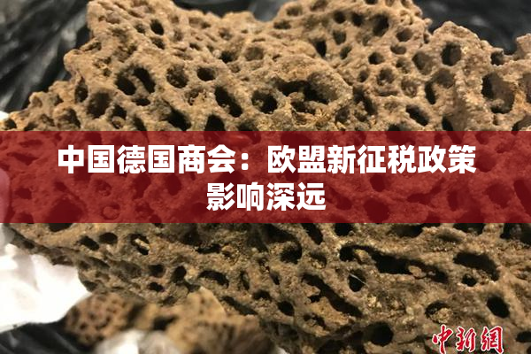 中国德国商会：欧盟新征税政策影响深远