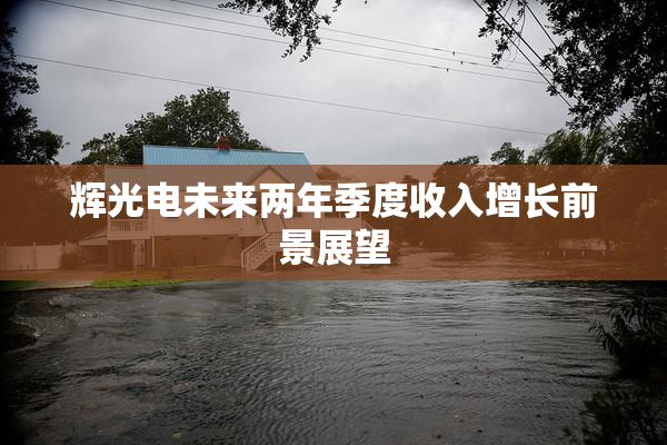 辉光电未来两年季度收入增长前景展望