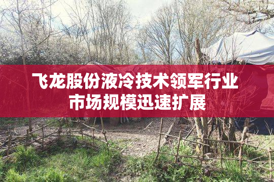 飞龙股份液冷技术领军行业 市场规模迅速扩展