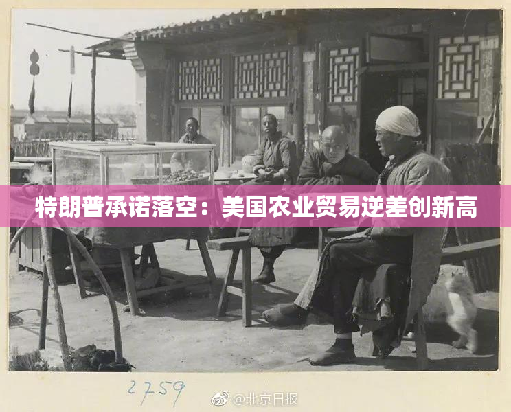 特朗普承诺落空：美国农业贸易逆差创新高