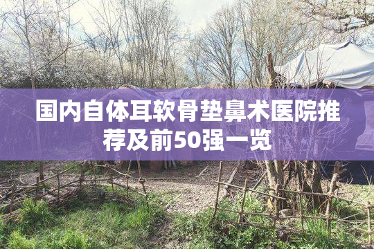 国内自体耳软骨垫鼻术医院推荐及前50强一览