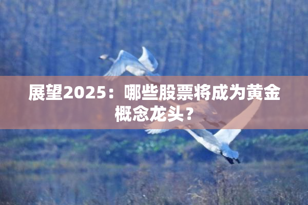 展望2025：哪些股票将成为黄金概念龙头？