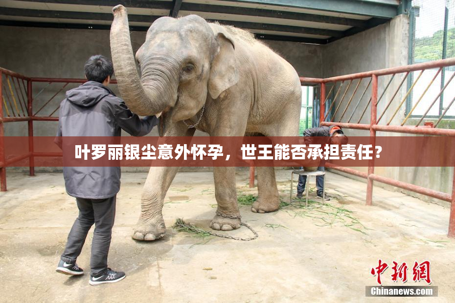 叶罗丽银尘意外怀孕，世王能否承担责任？