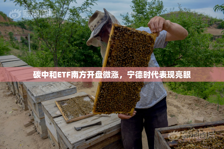 碳中和ETF南方开盘微涨，宁德时代表现亮眼