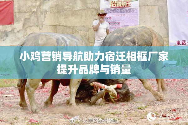 小鸡营销导航助力宿迁相框厂家提升品牌与销量