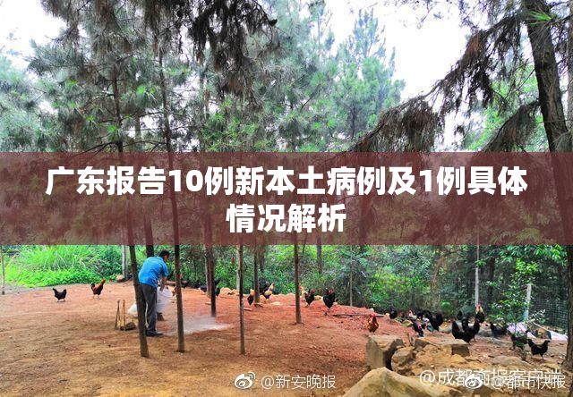 广东报告10例新本土病例及1例具体情况解析