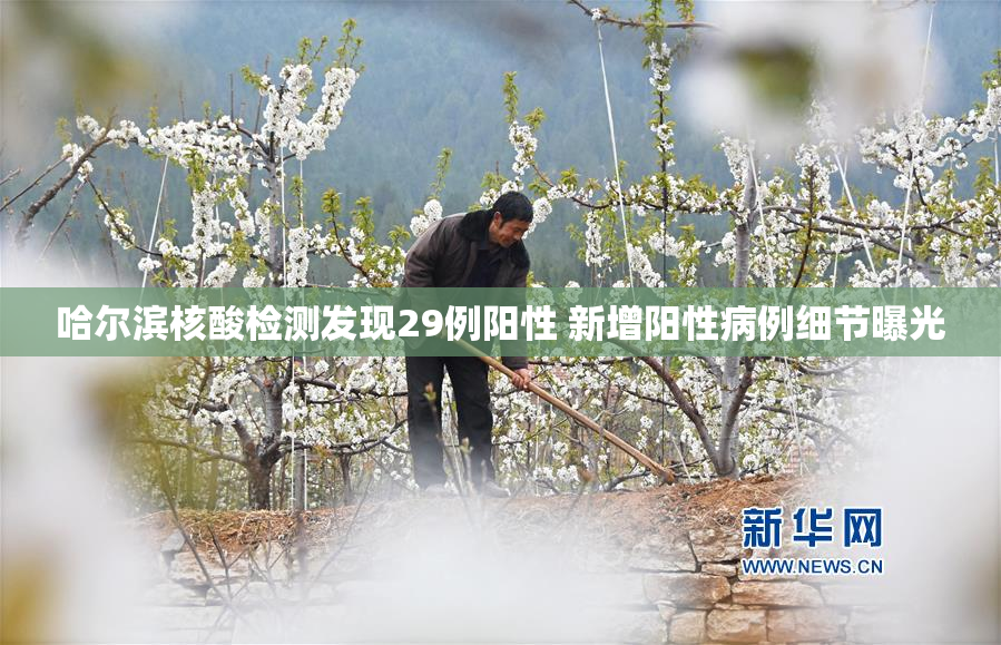 哈尔滨核酸检测发现29例阳性 新增阳性病例细节曝光