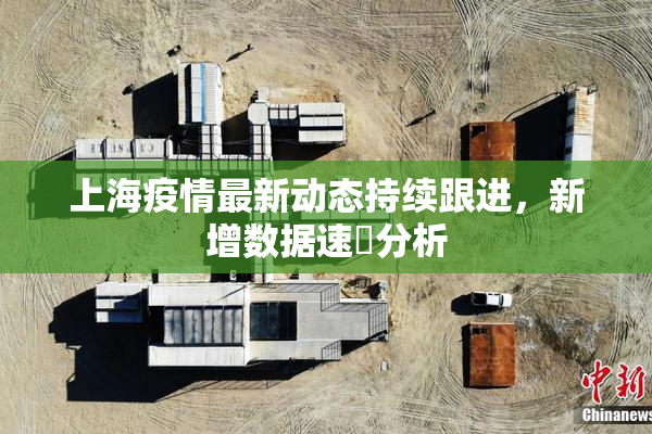 上海疫情最新动态持续跟进，新增数据速報分析