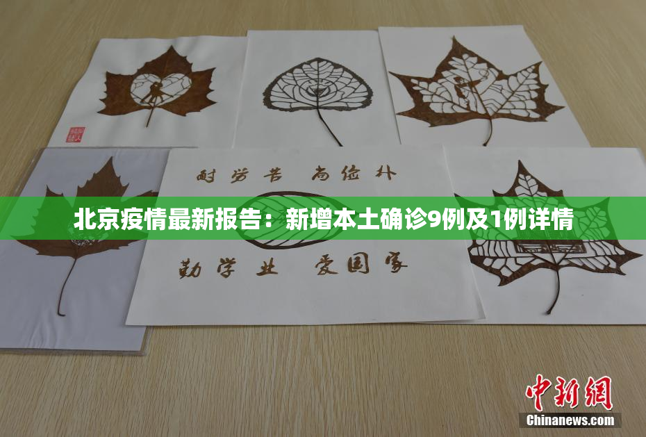 北京疫情最新报告：新增本土确诊9例及1例详情