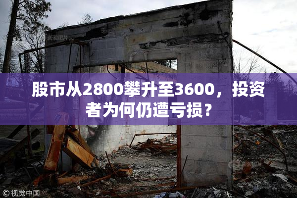 股市从2800攀升至3600，投资者为何仍遭亏损？