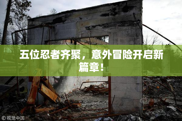 五位忍者齐聚，意外冒险开启新篇章！