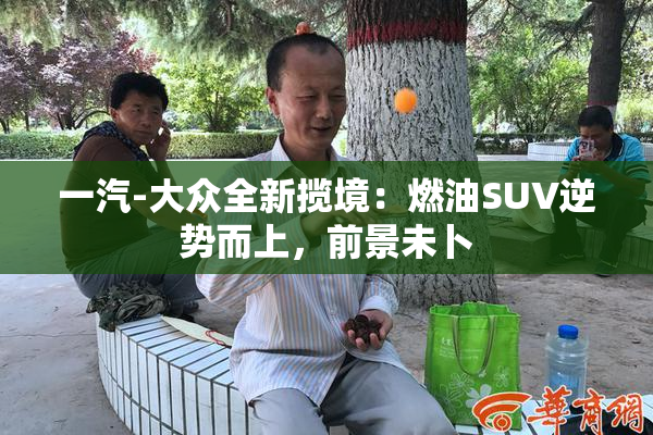 一汽-大众全新揽境：燃油SUV逆势而上，前景未卜