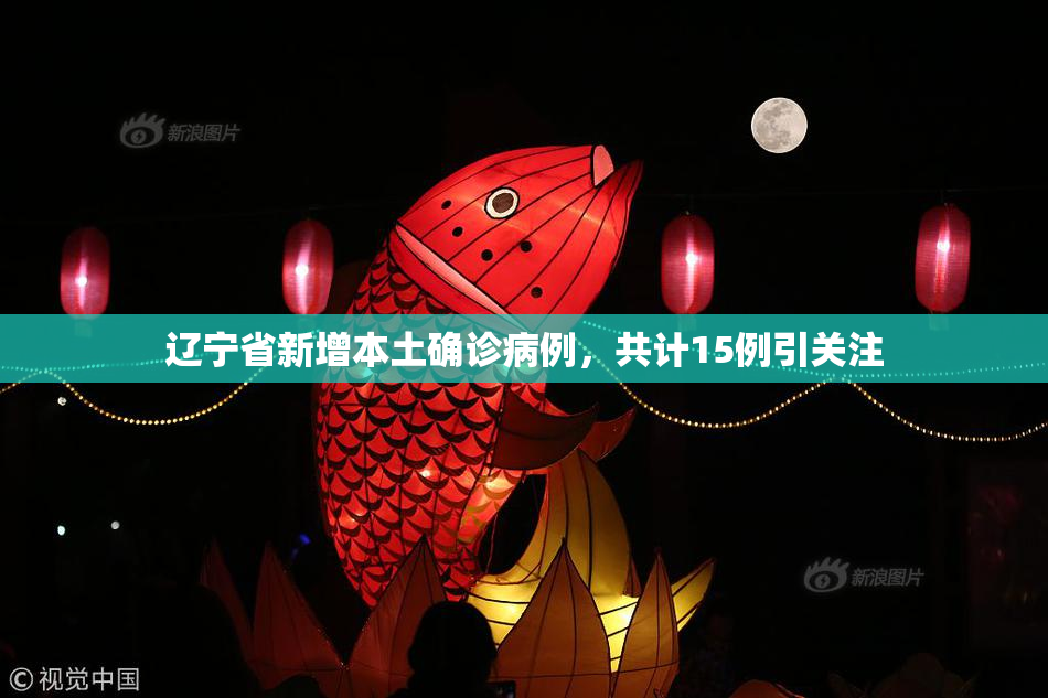辽宁省新增本土确诊病例，共计15例引关注