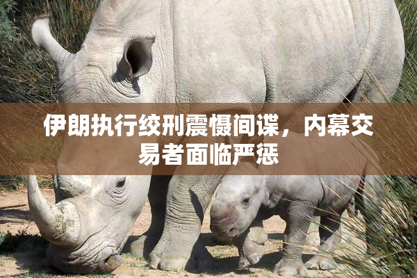 伊朗执行绞刑震慑间谍，内幕交易者面临严惩