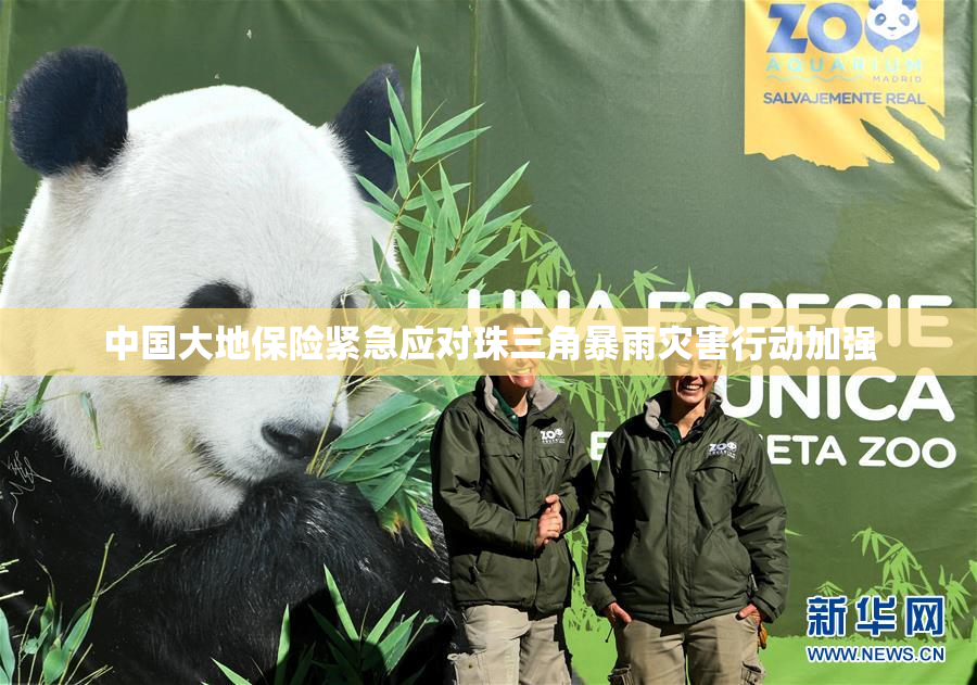 中国大地保险紧急应对珠三角暴雨灾害行动加强