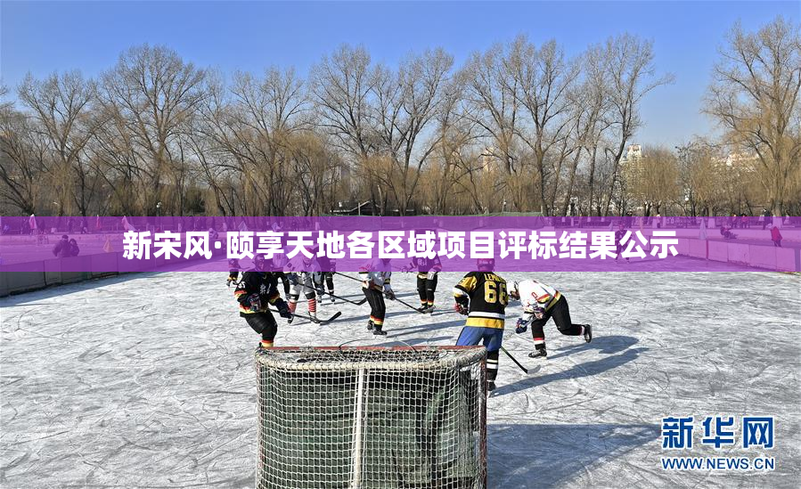新宋风·颐享天地各区域项目评标结果公示