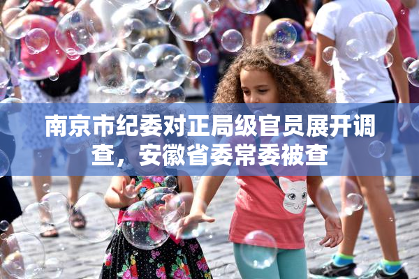 南京市纪委对正局级官员展开调查，安徽省委常委被查