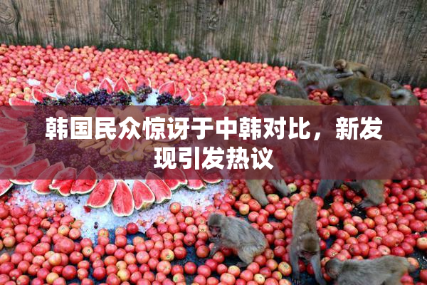 韩国民众惊讶于中韩对比，新发现引发热议