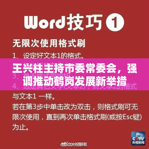王兴柱主持市委常委会，强调推动鹤岗发展新举措
