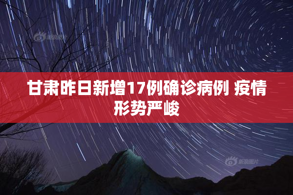甘肃昨日新增17例确诊病例 疫情形势严峻