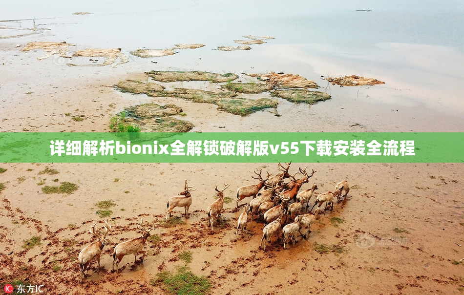 详细解析bionix全解锁破解版v55下载安装全流程