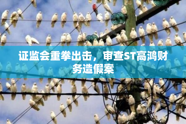 证监会重拳出击，审查ST高鸿财务造假案