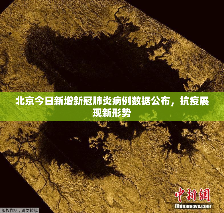 北京今日新增新冠肺炎病例数据公布，抗疫展现新形势