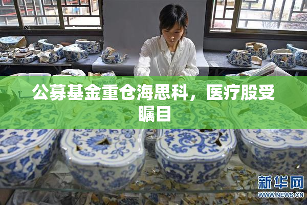 公募基金重仓海思科，医疗股受瞩目