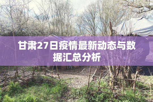 甘肃27日疫情最新动态与数据汇总分析