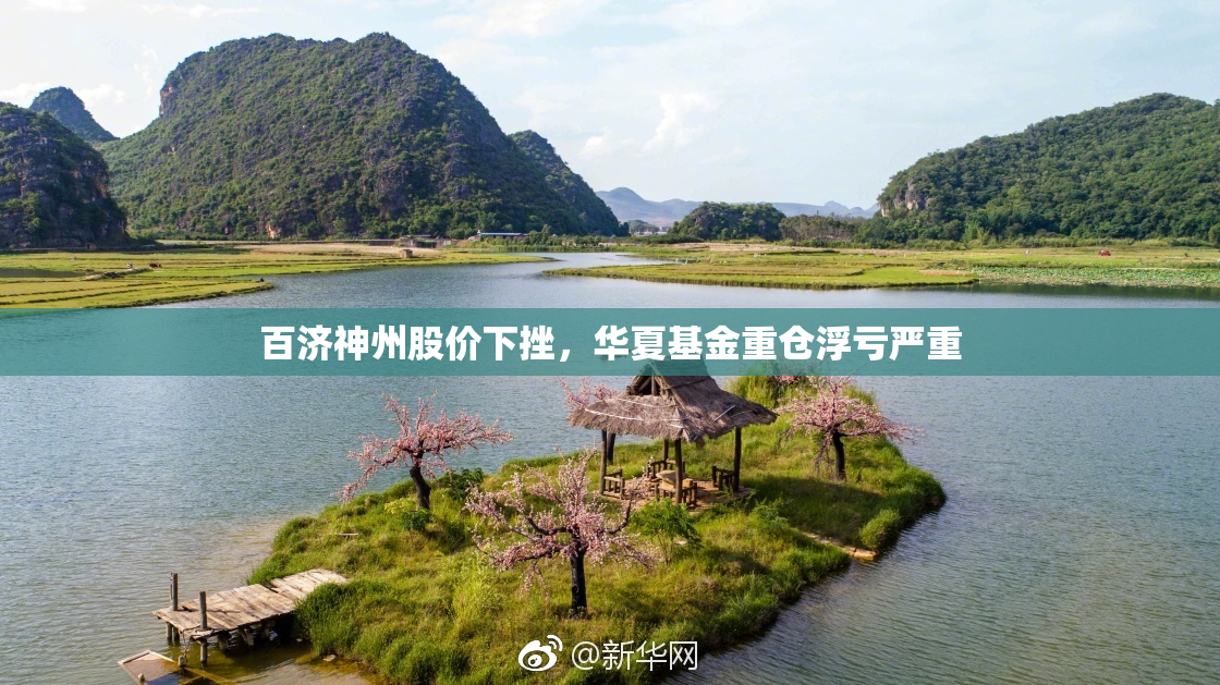 百济神州股价下挫，华夏基金重仓浮亏严重