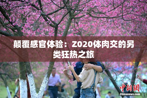 颠覆感官体验：Z020体肉交的另类狂热之旅