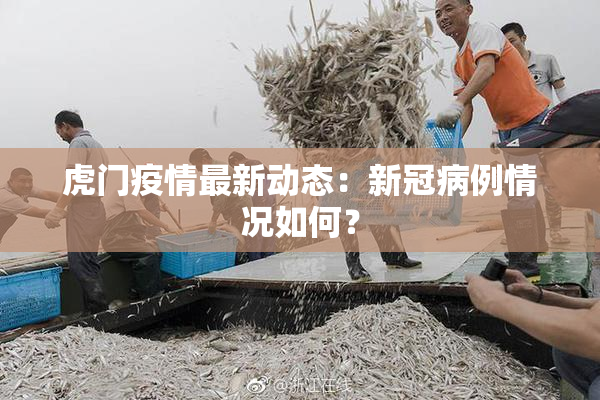 虎门疫情最新动态：新冠病例情况如何？