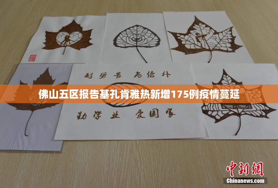 佛山五区报告基孔肯雅热新增175例疫情蔓延