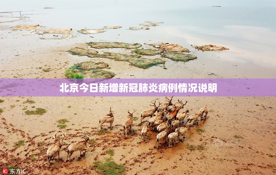 北京今日新增新冠肺炎病例情况说明