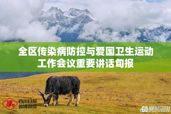 全区传染病防控与爱国卫生运动工作会议重要讲话旬报
