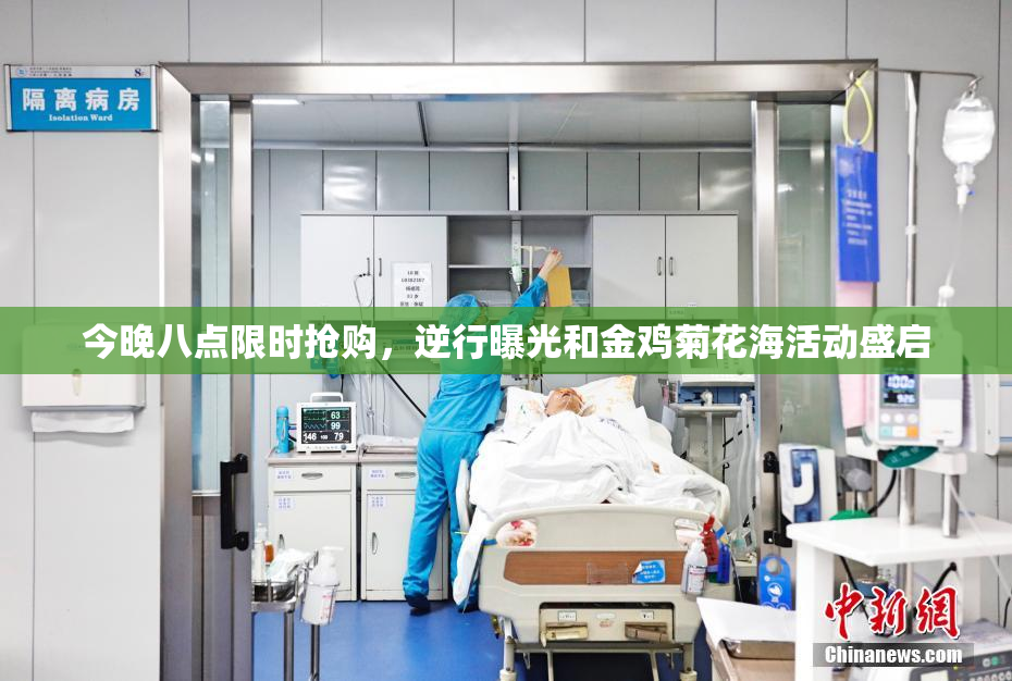 今晚八点限时抢购，逆行曝光和金鸡菊花海活动盛启