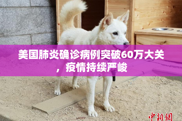 美国肺炎确诊病例突破60万大关，疫情持续严峻