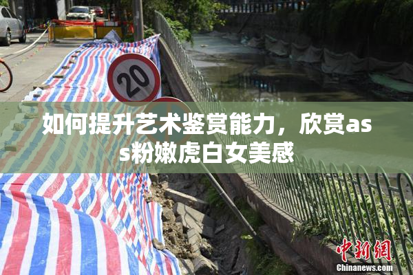 如何提升艺术鉴赏能力，欣赏ass粉嫩虎白女美感