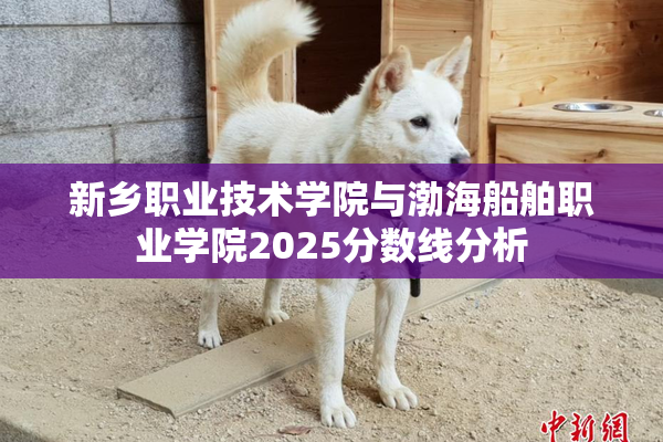 新乡职业技术学院与渤海船舶职业学院2025分数线分析