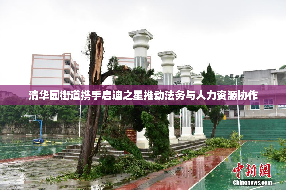 清华园街道携手启迪之星推动法务与人力资源协作