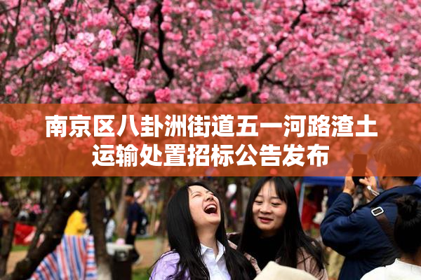 南京区八卦洲街道五一河路渣土运输处置招标公告发布