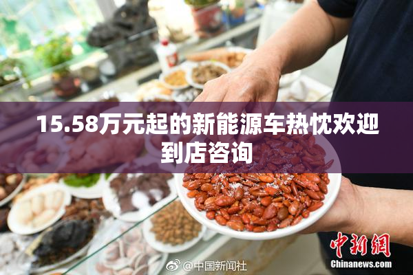 15.58万元起的新能源车热忱欢迎到店咨询