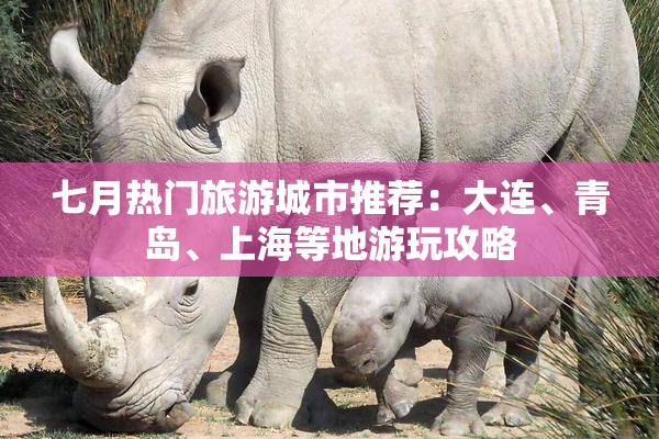 七月热门旅游城市推荐：大连、青岛、上海等地游玩攻略